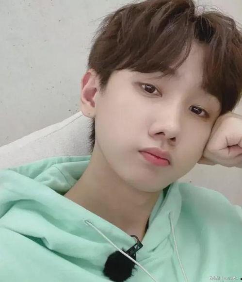 吃瓜娱乐圈许光汉