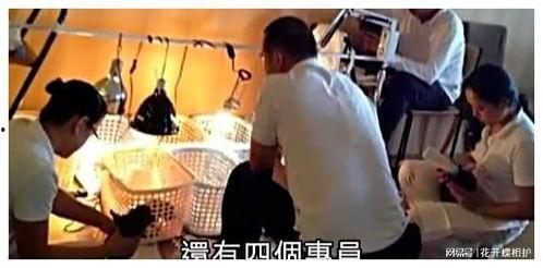 娱乐圈现场吃瓜是真的吗