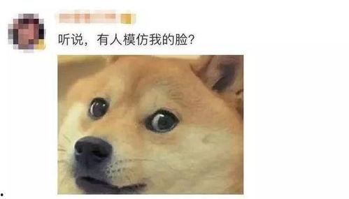 微信吃瓜表情包是什么意思,网络热传的趣味解读