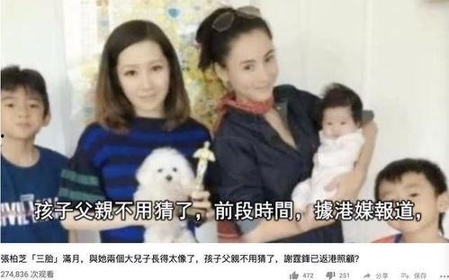 娱乐圈吃瓜网友吐槽,揭秘明星背后的真相与争议