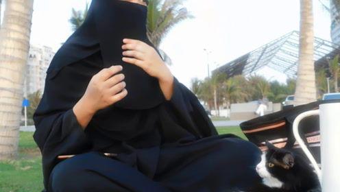 娱乐吃瓜君哥哥