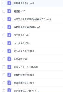娱乐吃瓜酱的音频在线听