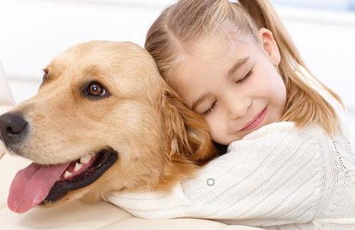 娱乐吃瓜酱小狗,揭秘娱乐圈那些不为人知的趣事